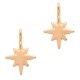 DQ metal charm Galaxy Star Rosegold